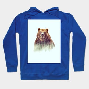 Bear picture of t-shirts Hoodie